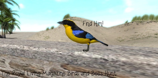 RLM Birds and Bees Hunt Object - Find the Birdie